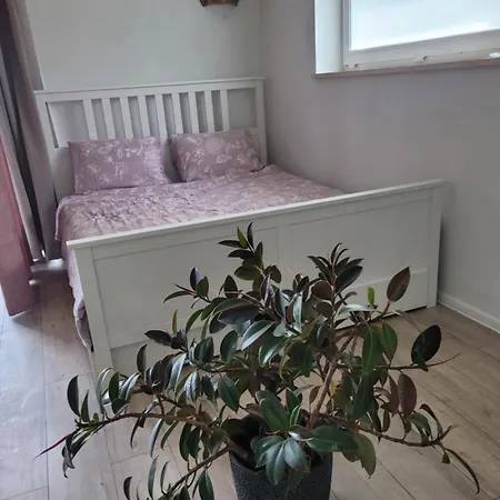 Tauralaukis Forest & Terrace * Klaipėda